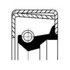 CORTECO 01032338B Shaft Seal, differential